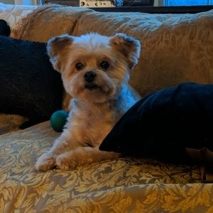 Sale😎😎😎 anything under 10 is 5!